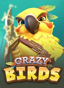 Crazy Birds