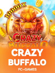 CRAZY BUFFALO