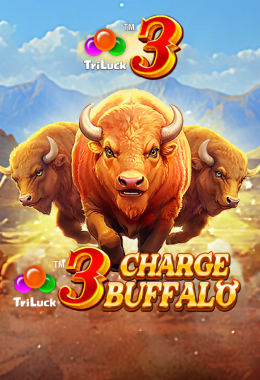 3Charge Buffalo